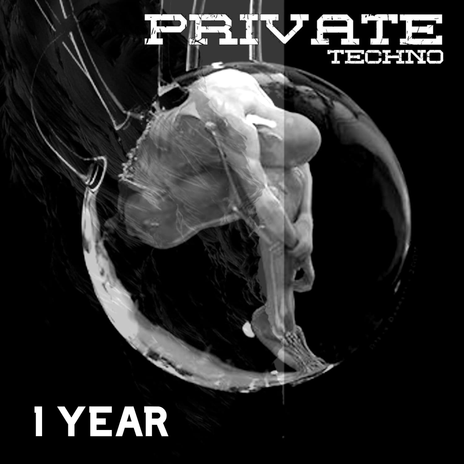 1 YEAR